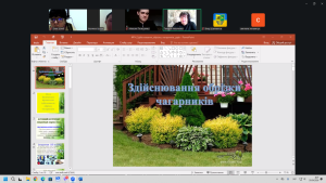 Зображення1