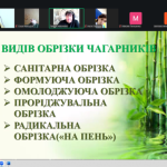 Зображення3