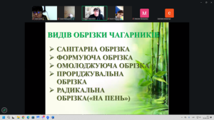 Зображення3